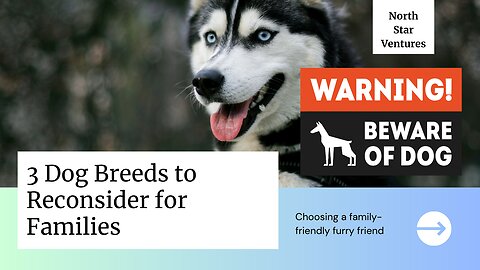 Top 3 Dog Breeds to Reconsider for Families with Kids 🚫🐕‍👶