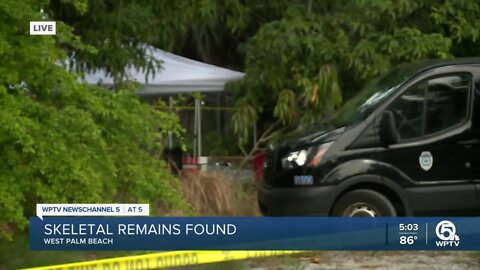 Skeletal human remains found in empty lot in West Palm Beach