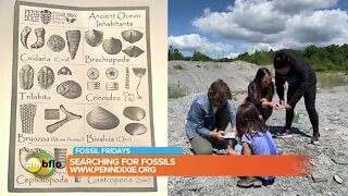 Fossil Friday – The Wally’s visit Penn Dixie Fossil Park and Nature Reserve