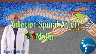 Spinal Cord Monitoring