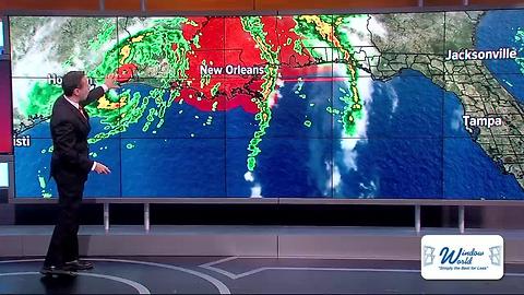 Tropical Storm Cindy makes landfall on Gulf coast