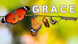 What Grace Teaches Us-Grace That Teaches Us To Say No