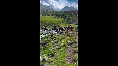 Hores Reding the Nature krgazstan