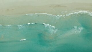 Relaxing beach sounds - Seagulls, waves, water