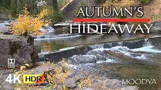 HDR Nature Relaxing Video - Autumn's Hidden Miracle - New Beginnings