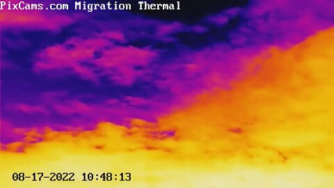 Small flock of birds captured on thermal migration camera