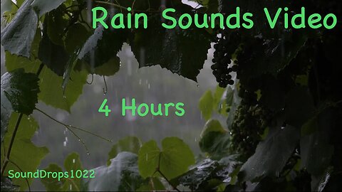 4-Hour Rain Ambience: All-Night Soothing