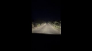 Night drive