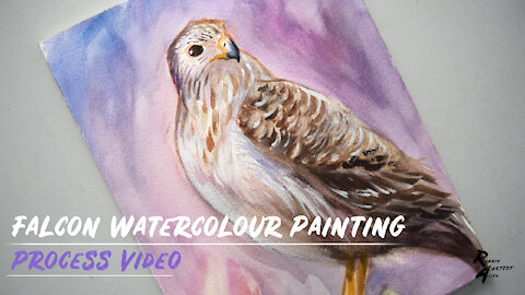 Falcon Watercolour Painting - Speed Painting Video