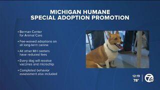 Michigan Humane 'Pet of the Week'