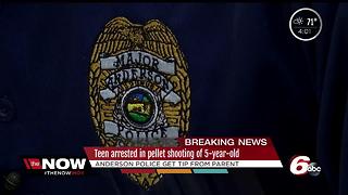 Anderson teen arrested for shooting 5-year-old in the back of a head with a pellet gun