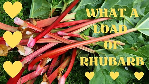 What a Load of Rhubarb