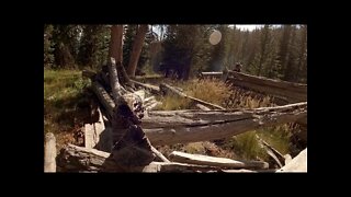 Gunnison National Forest - Horseshoe Creek Trail - Part 3