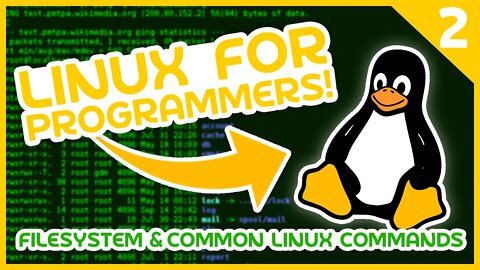 Linux for Programmers #2 - FileSystem & Common Linux Commands