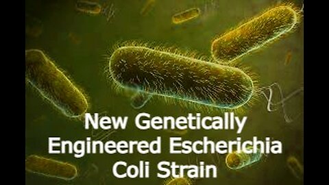 New Genetically Engineered Escherichia coli strain