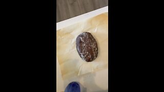 Chocolate Sourdough Loaf
