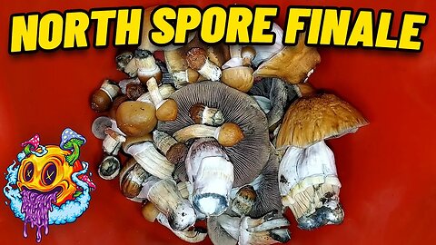 North Spore Boomr Bag Third Flush FINALE | Boomr Kit EP9