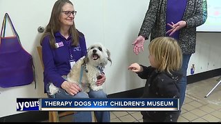 Therapy dogs visit Children's Museum of Idaho