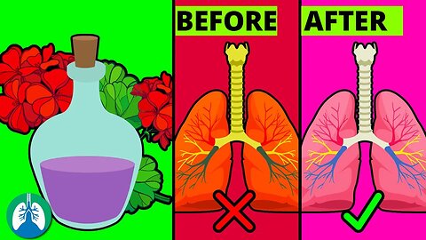 How to Cleanse Your Lungs with Geranium Oil