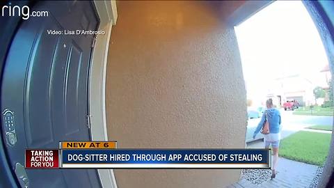 Rover dog-sitter charged with stealing from Pasco woman whose dog she was watching