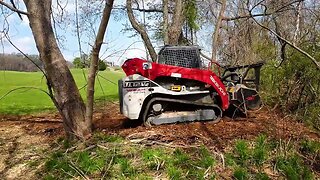 Creek-Side Forestry Mulching Autumn Olive