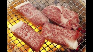 Cheapest High Quality Meat Yakiniku in Tokyo - Daigo Restaurant in Omori Tokyo 醍醐 大森店