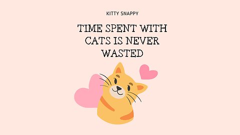 time spent with cats is never wasted:)