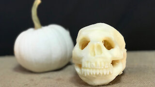 Squashcarver 'Mini Skull' pumpkin carving time-lapse