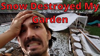 How to Protect Your Garden From Snow & freezing weather
