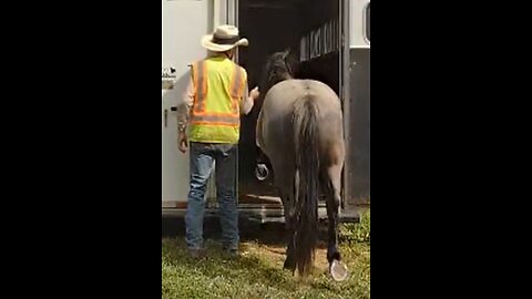 Steele - test of trailer skills - 10 Aug 2024