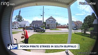 Porch pirate strikes in South Buffalo