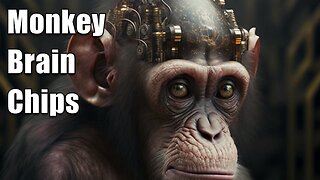 Neuralink: Before You Get the Brain Chip, Look at the Monkeys 🐒🧠🤖