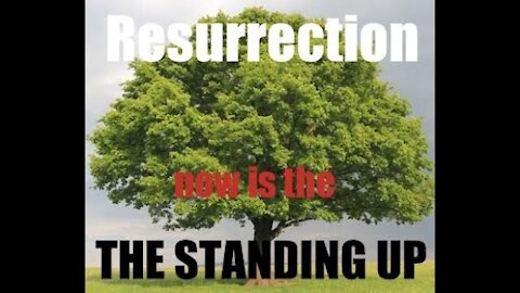 The Standing Up - The Resurrection