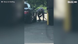 Homem limpa o carro com gasolina!
