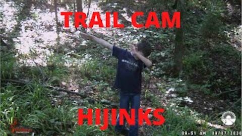 Trail Cam Hijinks