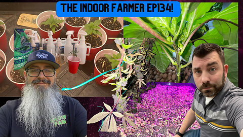 The Indoor Farmer ep134! Harvest Day + SteveO Mixing Up Some Foop & So Much More!