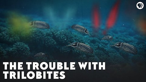 The Trouble With Trilobites