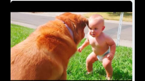 funny video Funny video baby girl and the dog #shorts​ Cute Pets