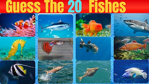 Guess The 20 Fishes By Fish Quiz | Time 10 sec | Afzaal knowledge acadmy