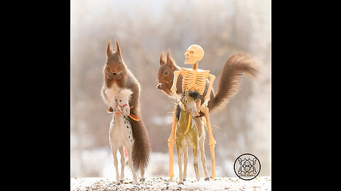 Game of thrones squirrel scenes