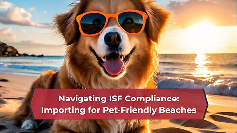 Paws and Ports: ISF Filing for Pet-Friendly Beach Imports