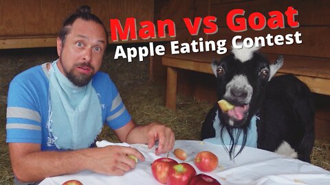 Man vs Goat: Apple Eating Contest | Apple Season