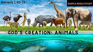 Genesis 1:20-25: God's Creation - Animals | Simple Bible Study