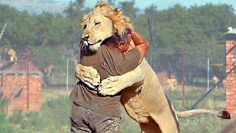 Animals reunited with their owners years later!