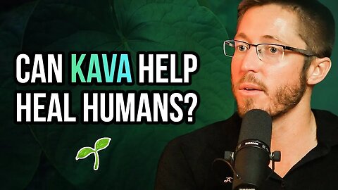 Kava | The Science + Story: Revolutionizing Modern Mental Health?