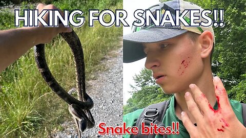 Garters, Racers, and first Ratsnake of the year! Herping 2023!