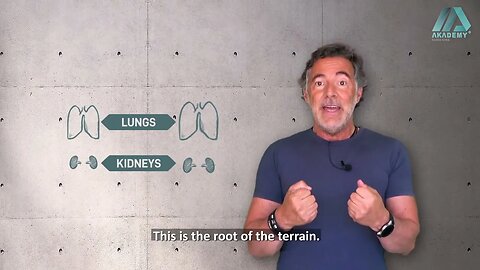 Healy - Nuno Nina: Why are kidneys and lungs so important?