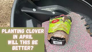 Will clover food plot work for deer this year?