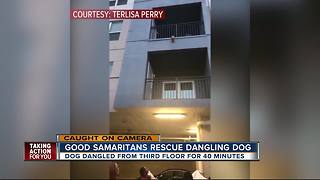 Good Samaritans rescue dangling dog