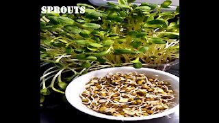 Sprouts